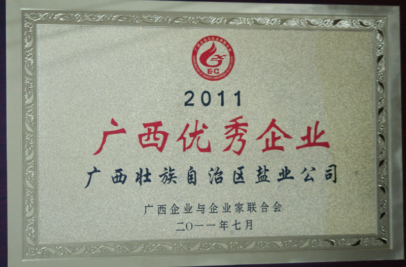 2011廣西優(yōu)秀企業(yè)